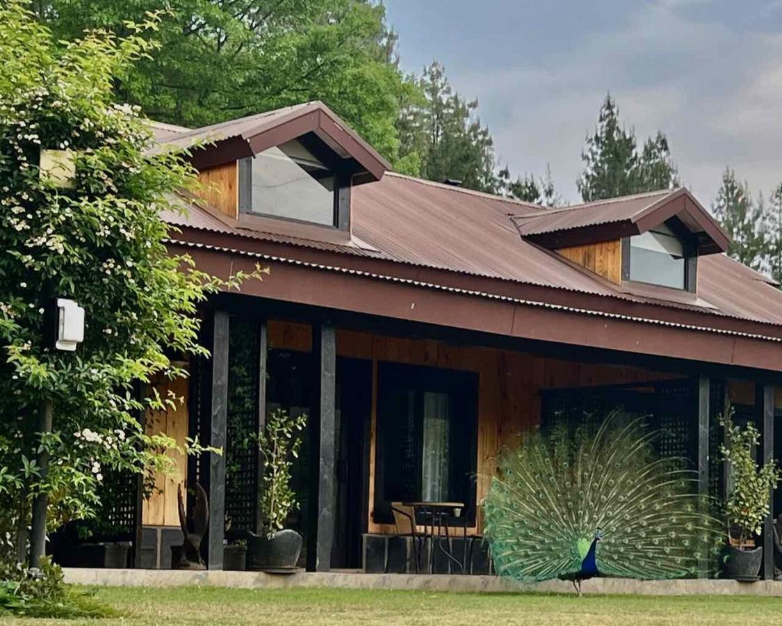 Malachite Manor Underberg Exterior foto